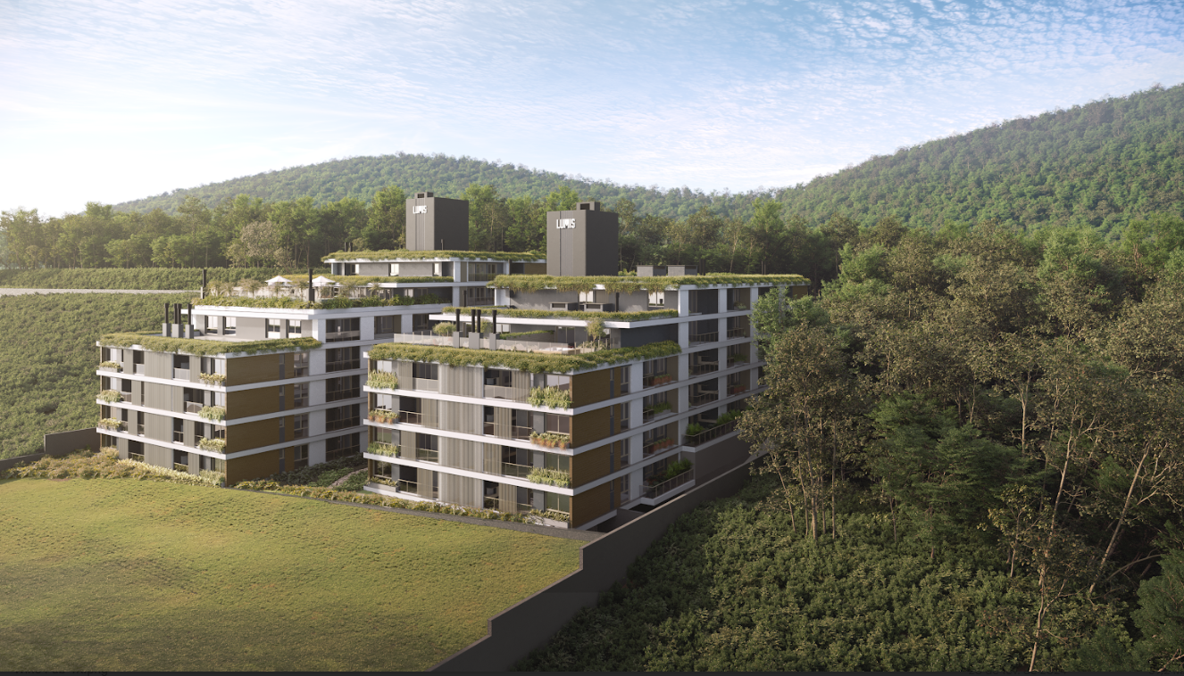 Live Lumis Cacupé - Miniatura 2